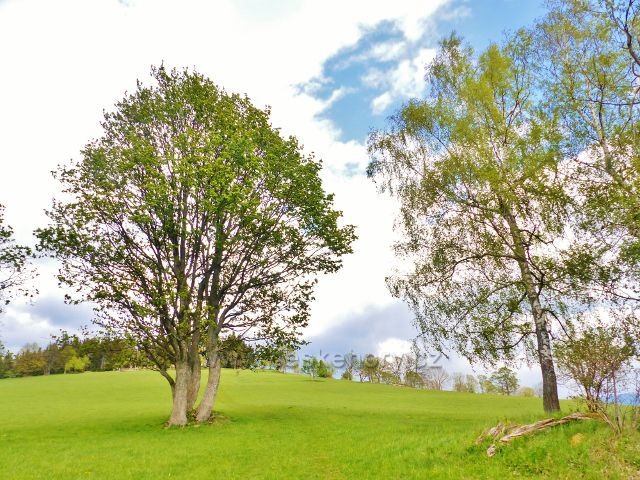 Zpětný pohled k Větrovu