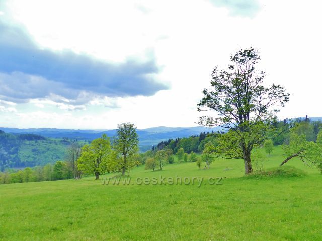 Úbočí Starého kopce