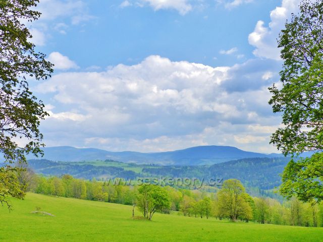 Pohled ze Starého kopce k Hanušovické pahorkatině