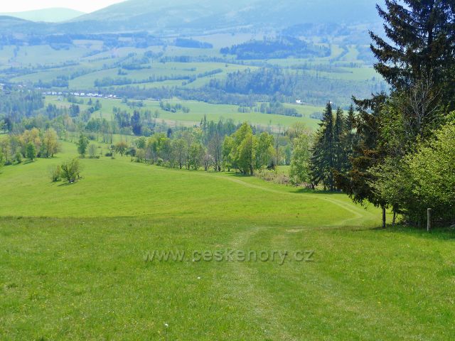 Sestupová travnatá cesta po zelené TZ ze Starého kopce do Starého Města