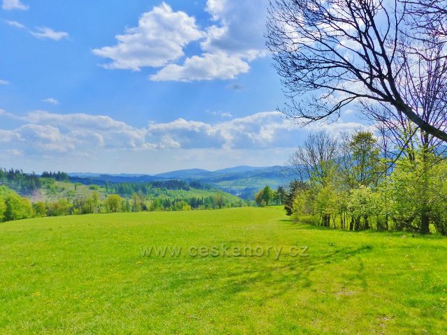 Pastvina na úpatí Starého kopce