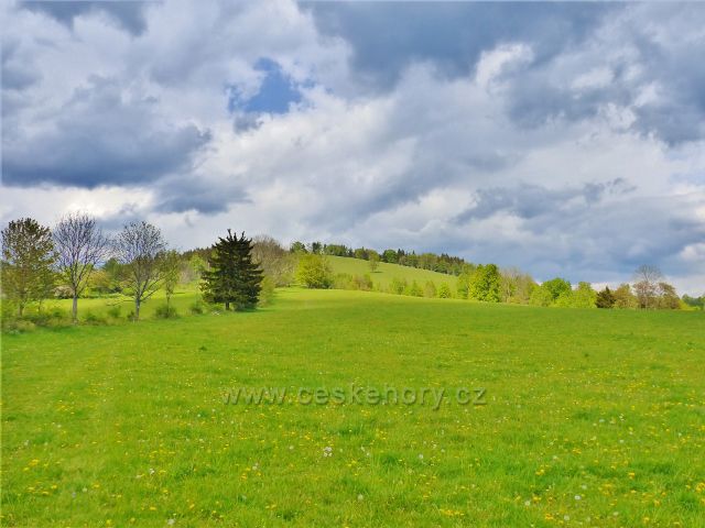 Pastviny na Starém kopci