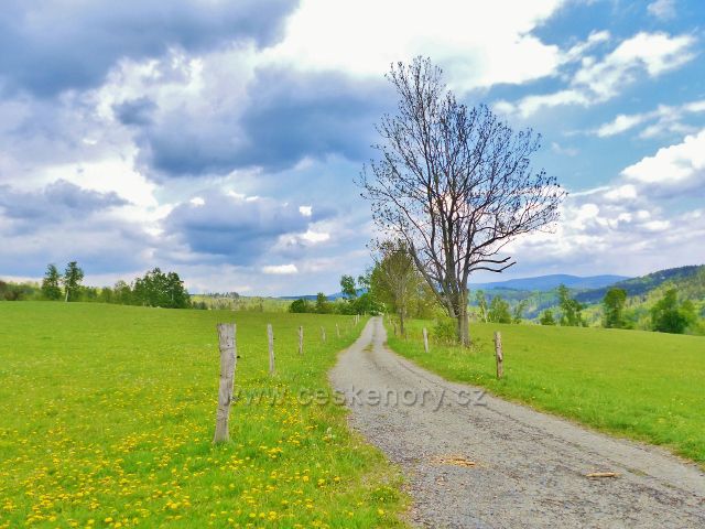 Cesta na úpatí Starého kopce od Malého Vrbna