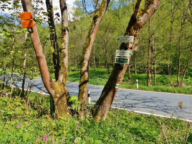 Turistický rozcestník "Pod Starým kopcem 555 m.n.m."