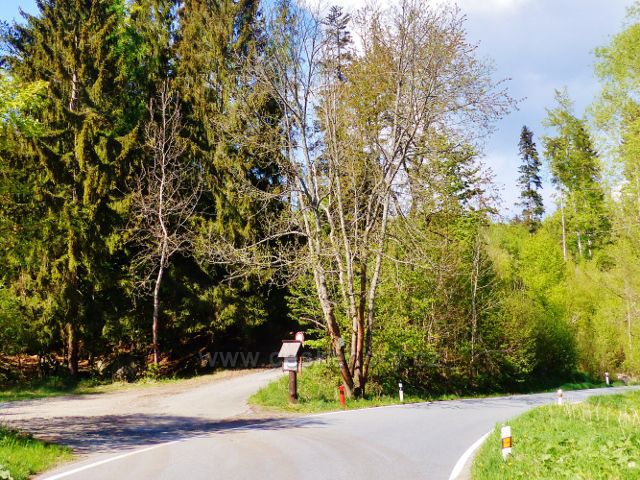 Rozcestí Pod Starým kopcem