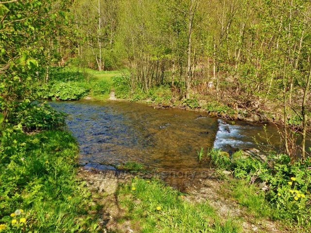 Brod přes Vrbenský potok