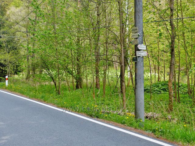 Turistický rozcestník "U Zotavovny Morava 548 m.n.m."