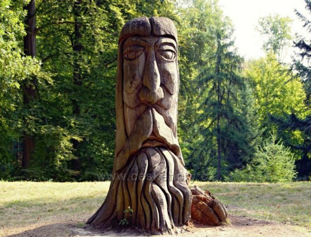 Arboretum Bukovina Český ráj