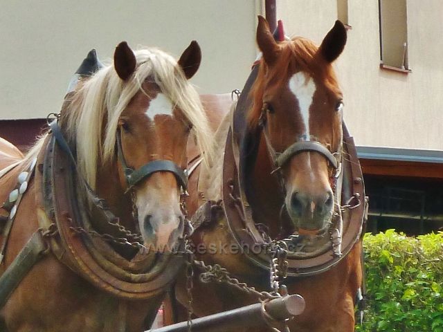 Jamné nad Orlicí - v páru se to lépe táhne