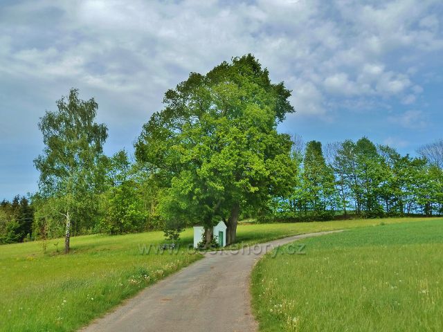 Jamné nad Orlicí - kaplička u cesty po zelené TZ k horní části obce "Na Brodě" a dále až na Suchý vrch