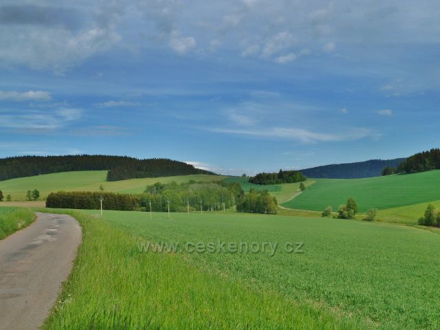Jamné nad Orlicí - cesta po zelené TZ k horní části obce "Na Brodě", vpravo cesta do Orliček