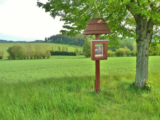 Jamné nad Orlicí - svatý obrázek u cesty po zelené TZ k Brodu