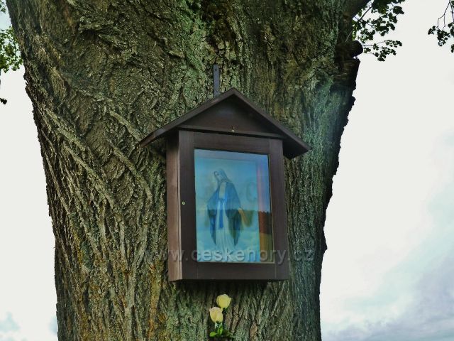 Jamné nad Orlicí - detail obrázku na lípě