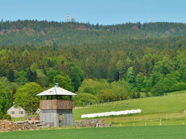 Jamné nad Orlicí - pohled k Suchému vrchu
