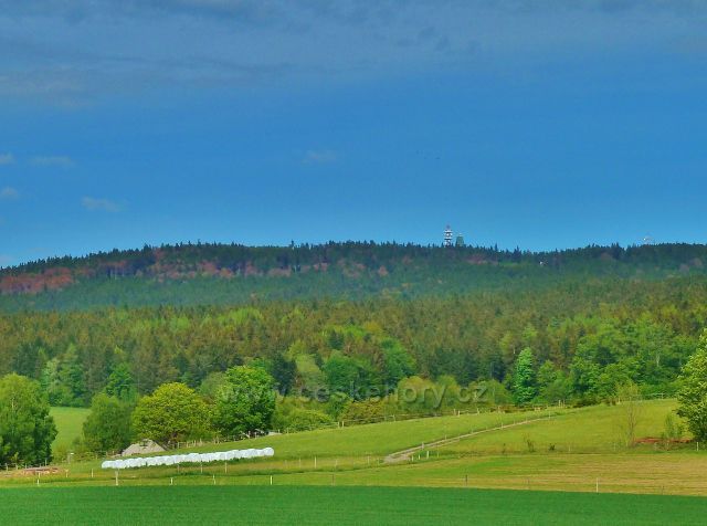 Jamné nad Orlicí - pastviny pod Suchým vrchem