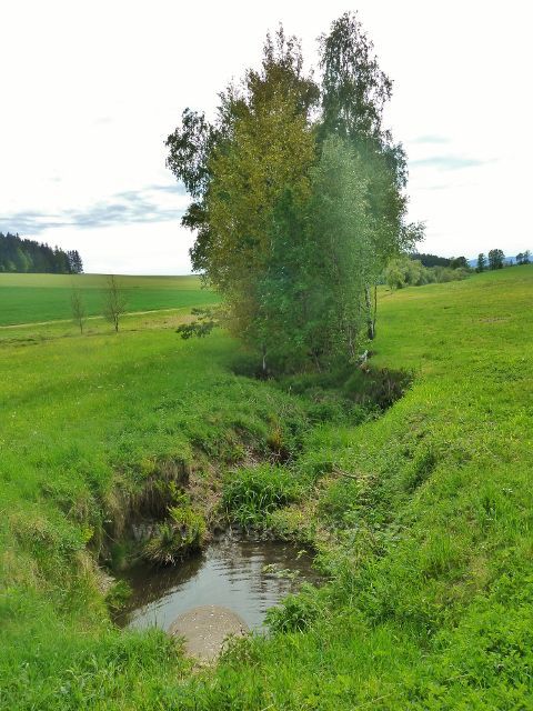 Jamné nad Orlicí - pod pramenem pravostranného přítoku Orličského potoku