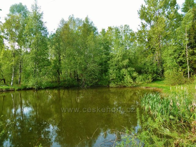 Jamné nad Orlicí - horní rybníček u cesty do Orliček
