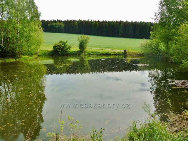 Jamné nad Orlicí - horní rybníček u cesty do Orliček