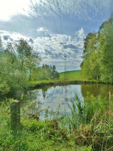 Jamné nad Orlicí - dolní rybníček u cesty do Orliček