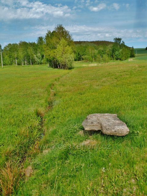Jamné nad Orlicí - pravostranný přítok Orličského potoku