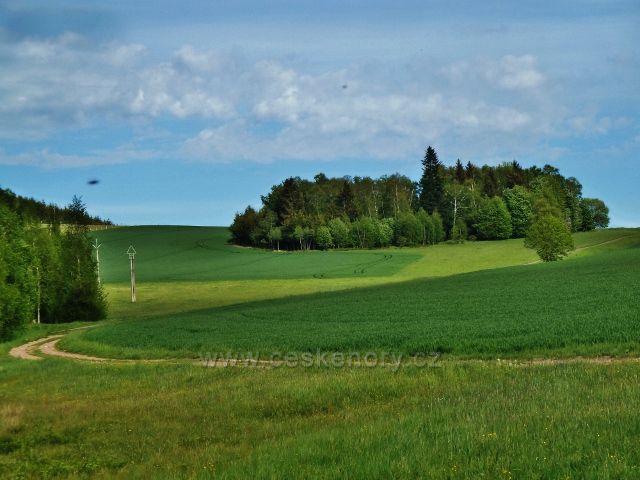 Jamné nad Orlicí - polní cesta k rybníčkům a do Orliček