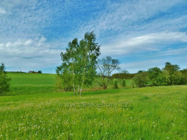 Jamné nad Orlicí - pastvina pod Martínkovo hatí