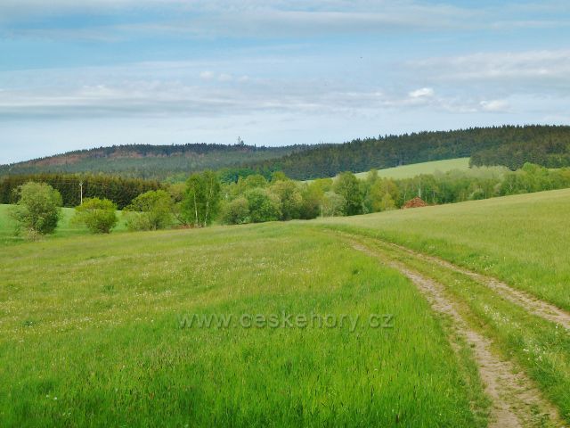 Jamné nad Orlicí - pohled na Suchý vrch z polní cesty k Orličkám