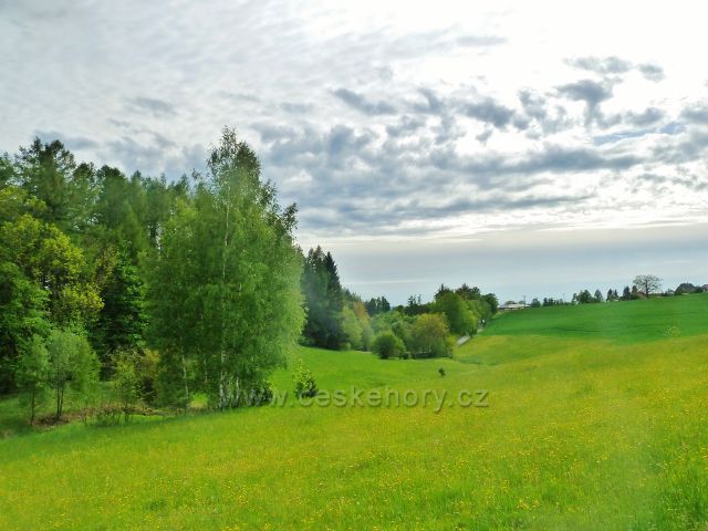 Jamné nad Orlicí - pravostranný přítok Orličkovského potoku, v pozadí je silnička do Orliček