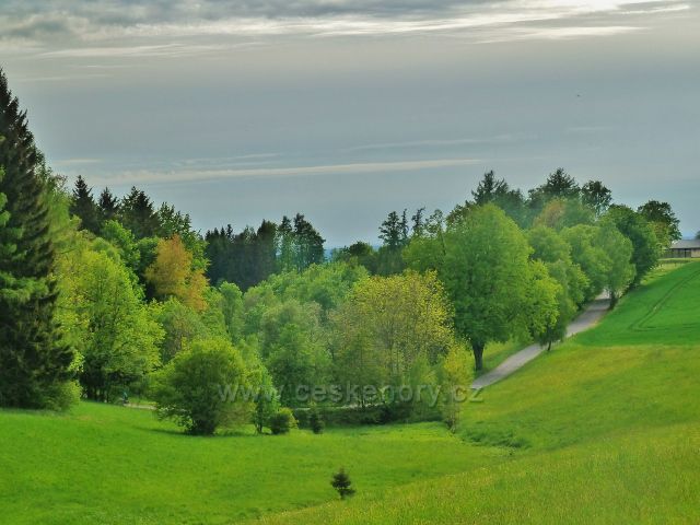Jamné nad Orlicí - pravostranný přítok Orlčkovského potoku nad silničkou do Orliček