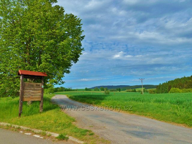 Jamné nad Orlicí - rozcestí na trase po zelené TZ a odbočky k areálu U Tisu