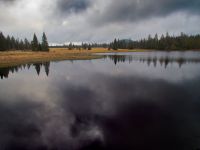 Mrtvý rybník v Krušných horách