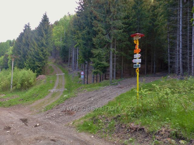 Rozcestník na dolním okraji Petříkova  v nadmořské výšce 748 m.