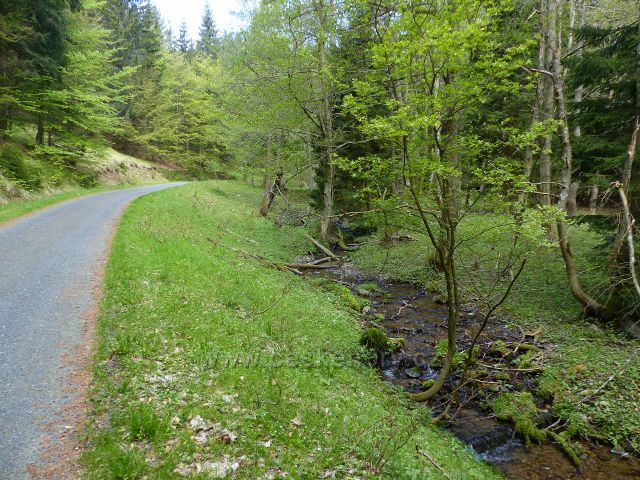 Petříkov - silnička k Cisařské boudě před pramenem U Larušky