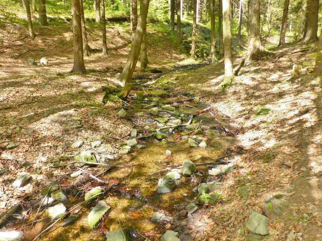 Petříkov - pravostranný přítok Branné nad pramenem U Larušky