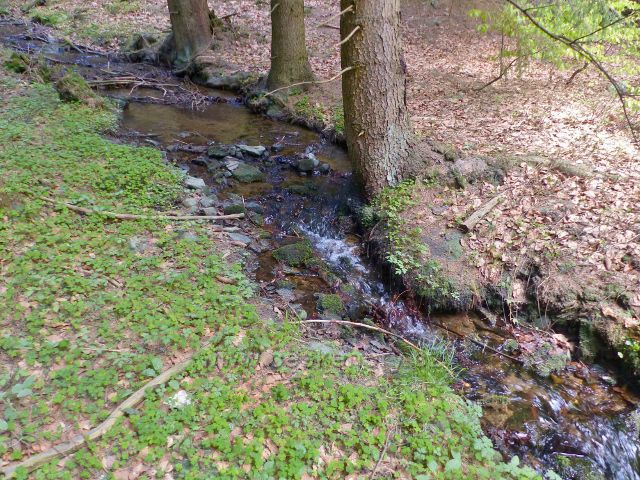 Petříkov - nejužší  místo k překročení pravostranného přítoku Branné pod svahem Střední štoly II. grafitového dolu