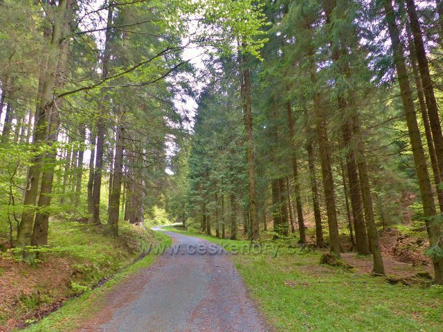 Petříkov - silnička k Císařské boudě