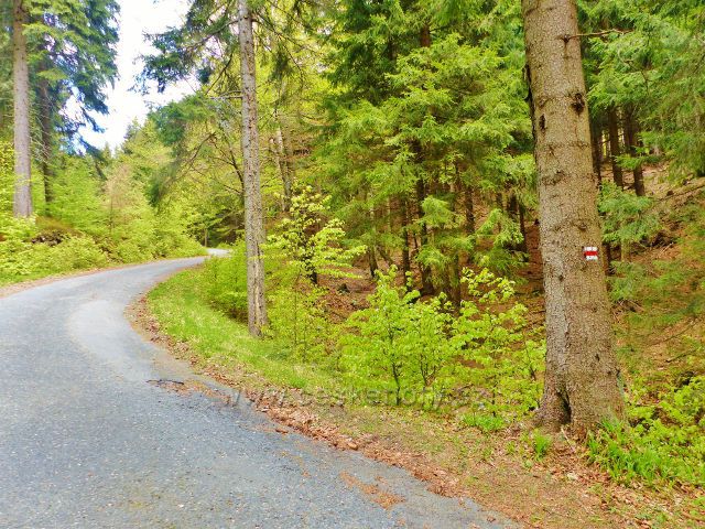 Petříkov - poslední část asfaltového úseku cesty po červené TZ k Císařské boudě