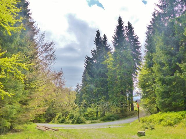 Petříkov - na rozcestí "Pod Císařskou boudou" končí asfaltová část cesty k Císařské boudě