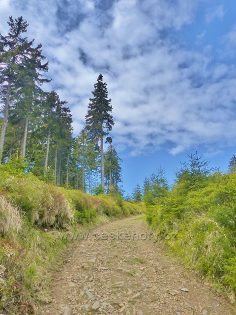 Petříkov - poslední část cesty po červené TZ k Císařské boudě