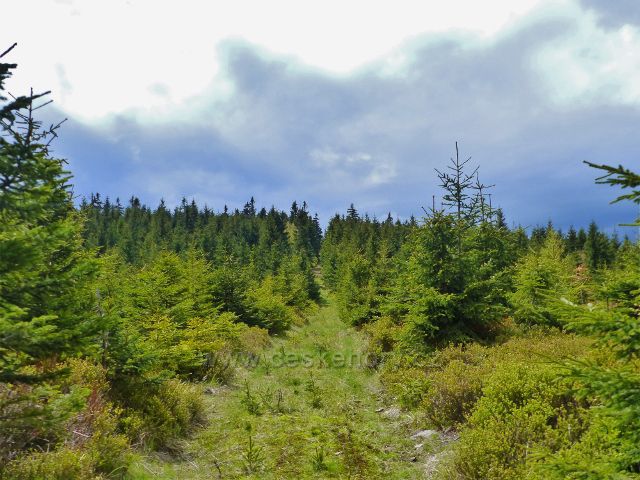 Staré Město - hřebenová cesta na vrchol Trnové hory