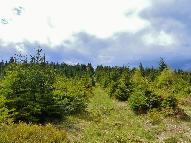 Staré Město - hřebenová cesta na vrchol Trnové hory