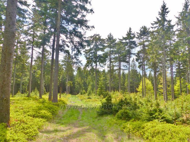 Staré Město - hřebenovka z Trnové hory na vrch Hřebeňák