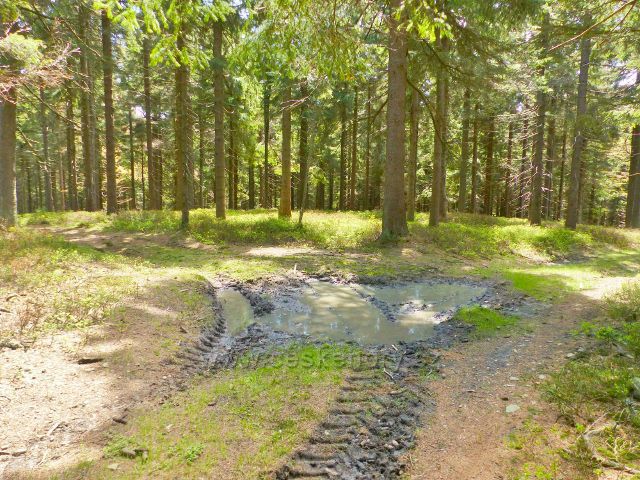 Staré Město - křižovatka lesních cest je jen několik metrů od vrcholu Hřebeňáku