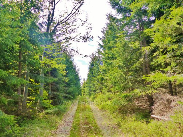 Staré Město - hřebenovka z Hřebeňáku před vrcholem 1008 m.n.m.