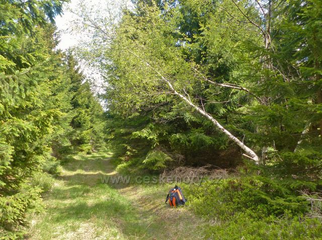 Staré Město - batoh stojí přesně na vrcholu bezejmenného vrchu s kotou 1008 m.n.m.