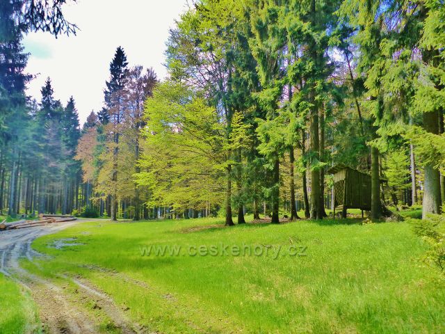 Staré Město - křižovatka lesních cest a místo  bodu záchrany SU 058