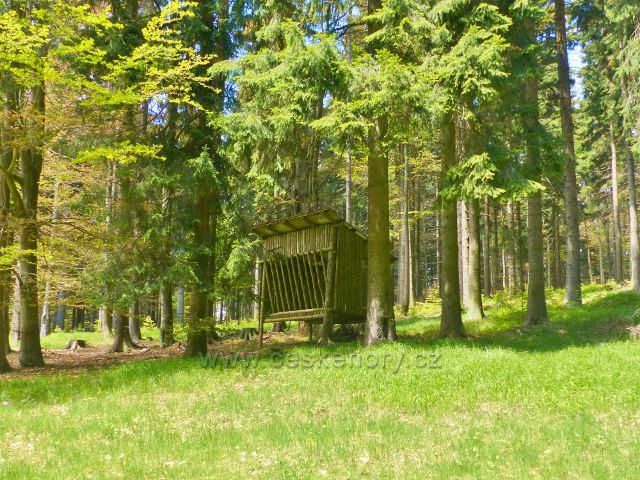 Staré Město - krmelec u křižovatky lesních cest a bodu záchrany SU 058