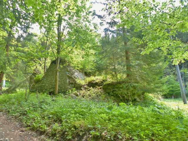 Malé Vrbno - další trosky domu u cesty Medvědí roklí