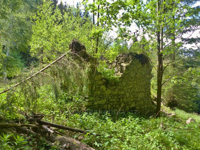 Malé Vrbno - a ještě jeden rozpadlý obytný dům u cesty do sedla Kutný vrch