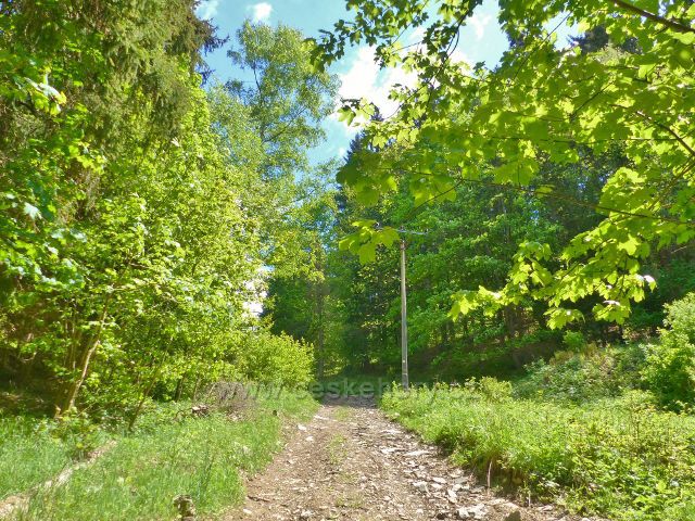 Malé Vrbno - cesta po žluté TZ do sedla Kutný vrch